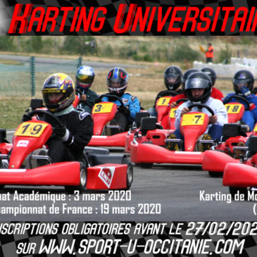 Toulouse : Karting