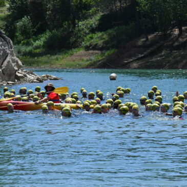 Championnat Occitanie de triathlon