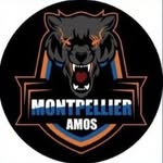 Matchs AMOS